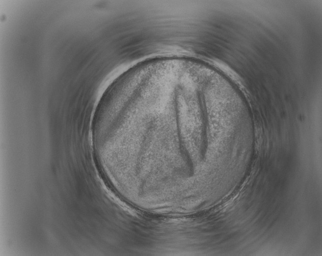 X0000068831335200605261606