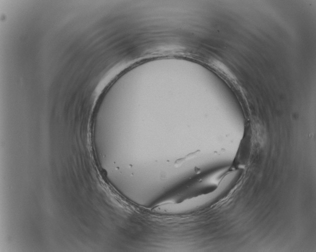 X0000068831336200605261606