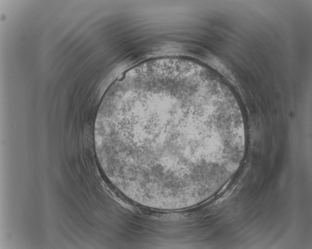 X0000068831337200605261606