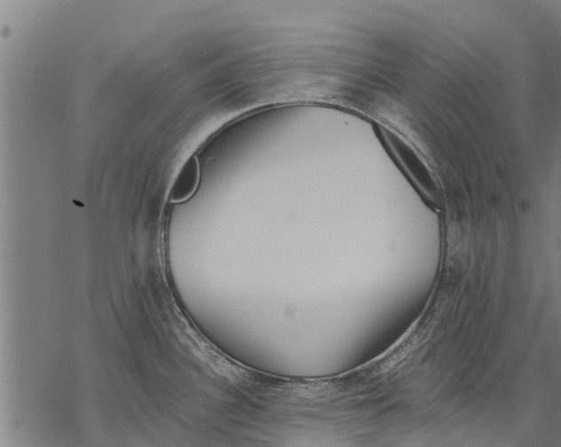 X0000068831340200605261606