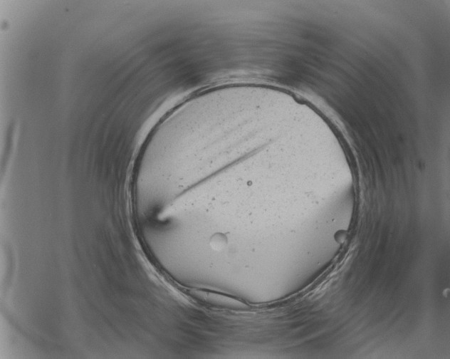 X0000068831341200605261606