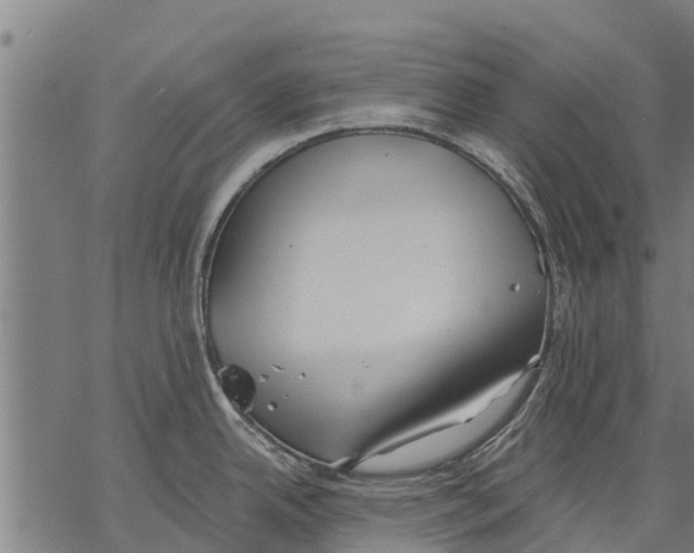 X0000068831342200605261606