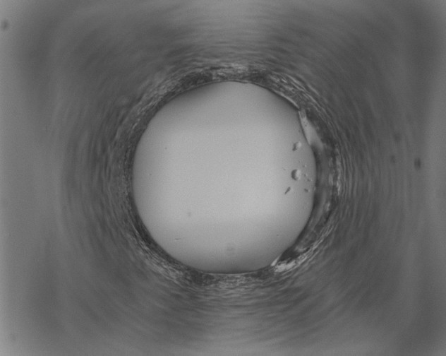 X0000068831345200605261605