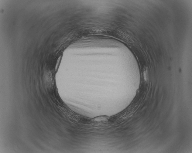 X0000068831347200605261605