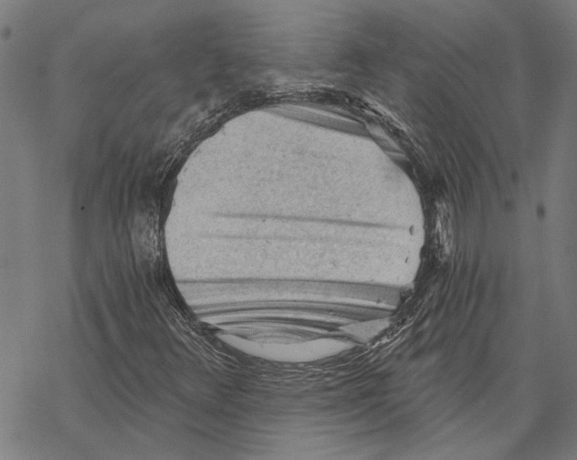 X0000068831348200605261605