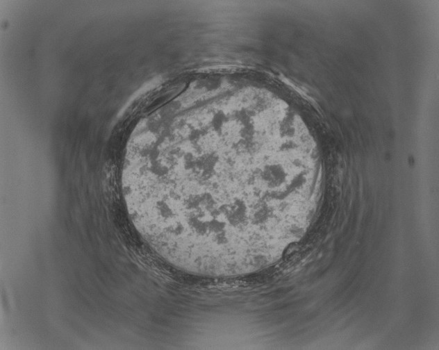 X0000068831351200605261605