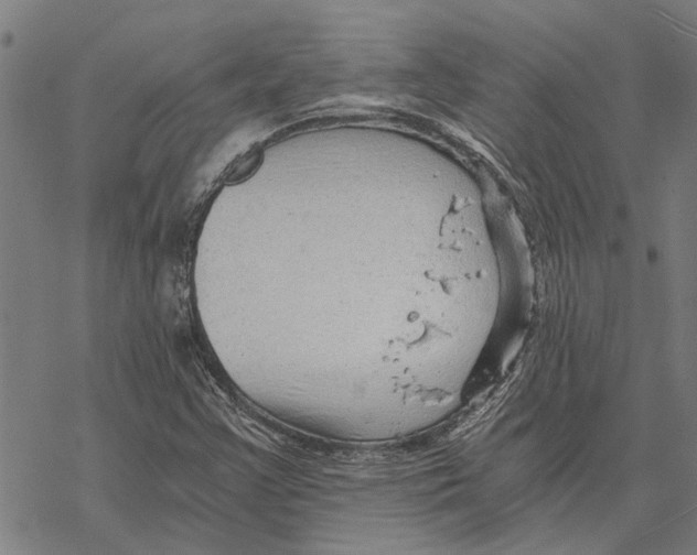 X0000068831355200605261605