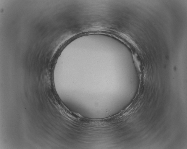 X0000068831356200605261605