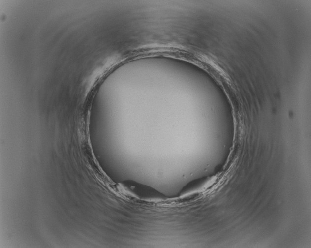 X0000068831357200605261605