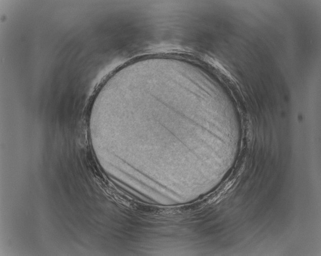 X0000068831358200605261605