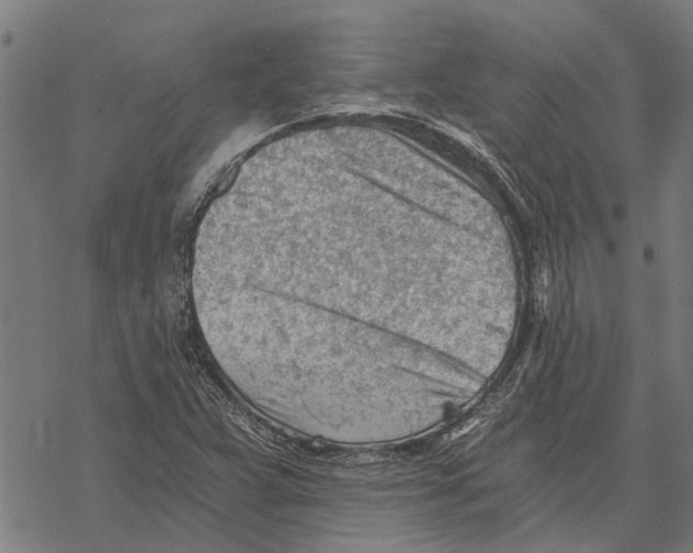 X0000068831359200605261605