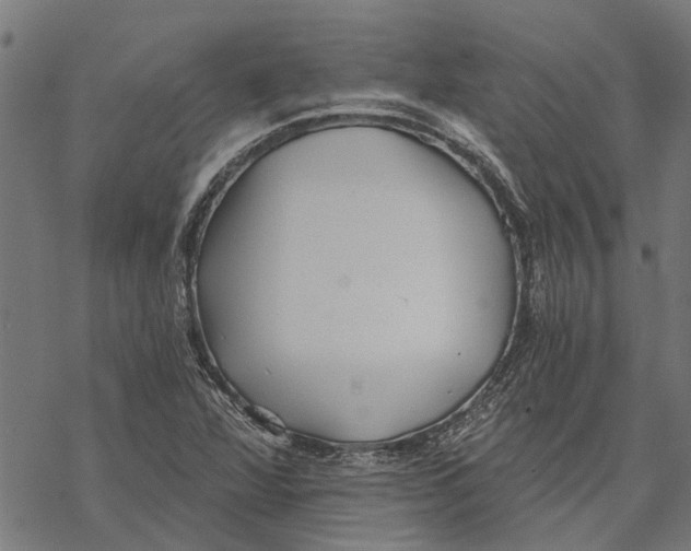 X0000068831360200605261605