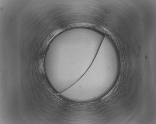 X0000068831361200605261605