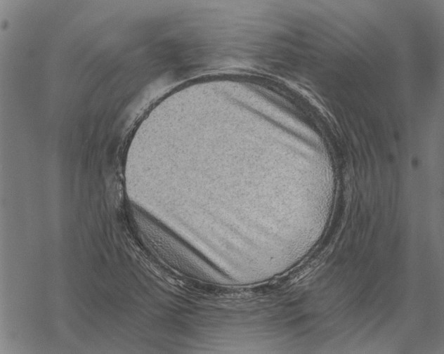 X0000068831363200605261605