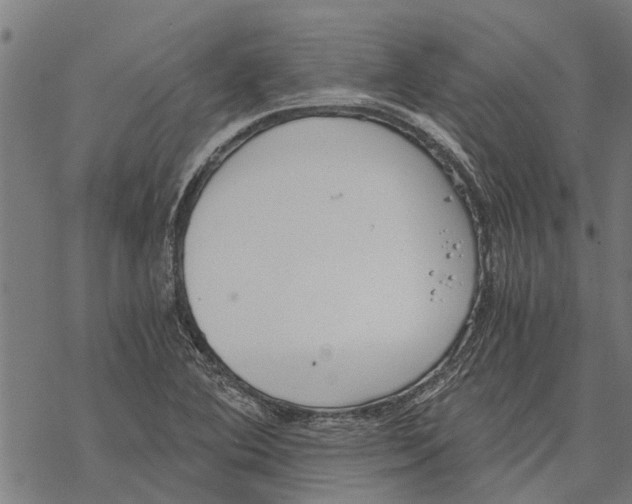 X0000068831364200605261605