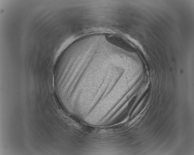 X0000068831365200605261605