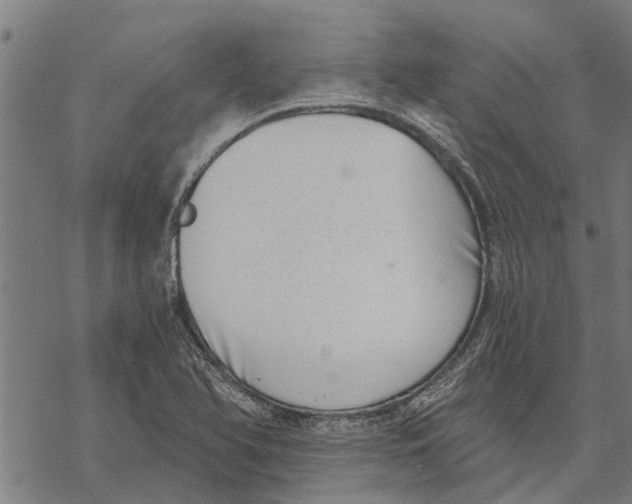 X0000068831366200605261605