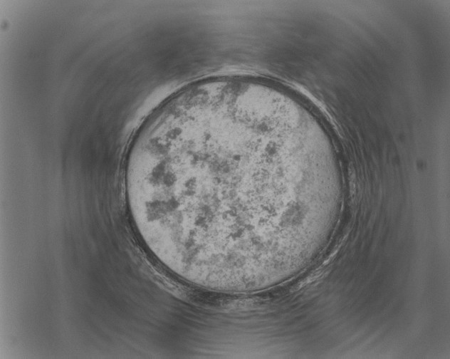 X0000068831367200605261605