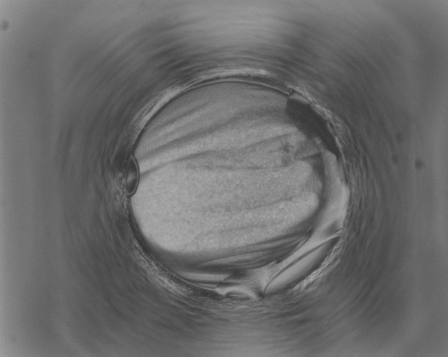 X0000068831369200605261605