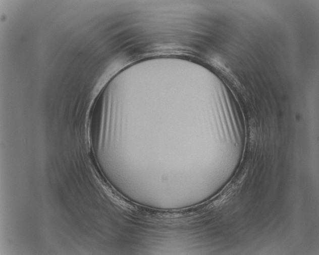 X0000068831370200605261605