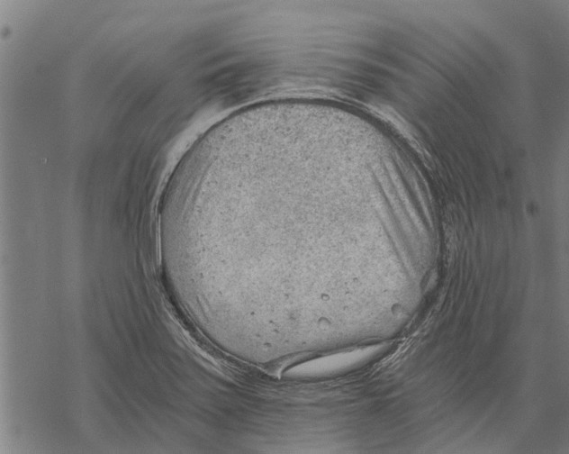 X0000068831371200605261605