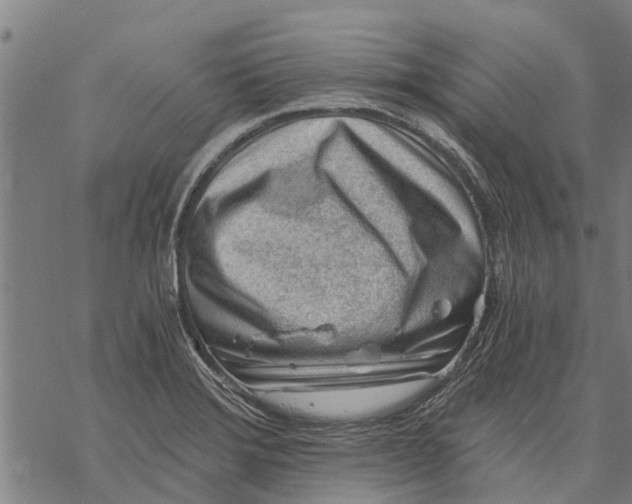 X0000068831372200605261605