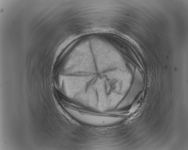 X0000068831373200605261605