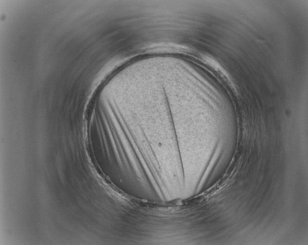 X0000068831376200605261605