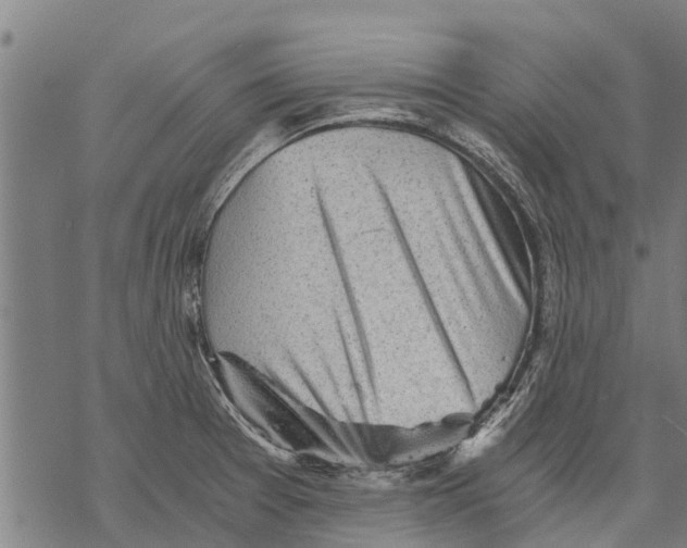 X0000068831377200605261605