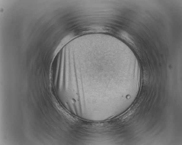 X0000068831378200605261605