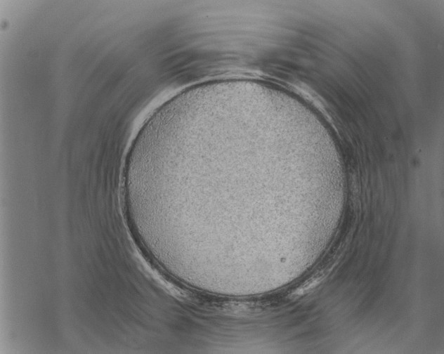 X0000068831379200605261605