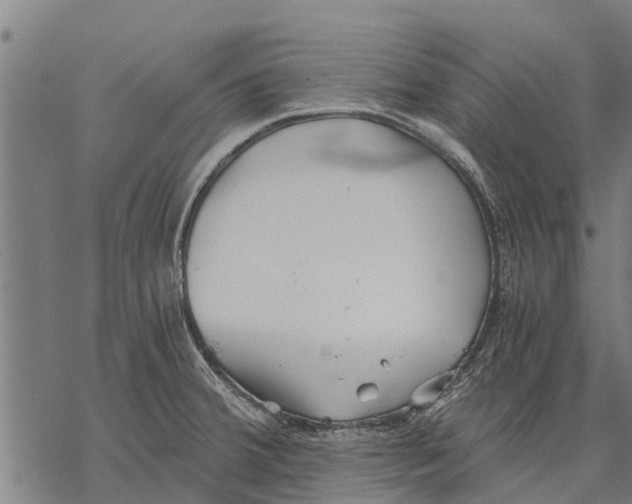 X0000068831380200605261605