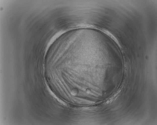 X0000068831381200605261605