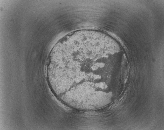 X0000068831383200605261605