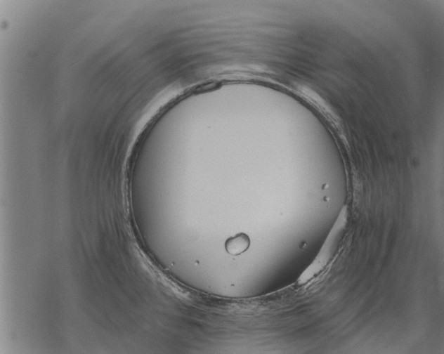 X0000068831384200605261605