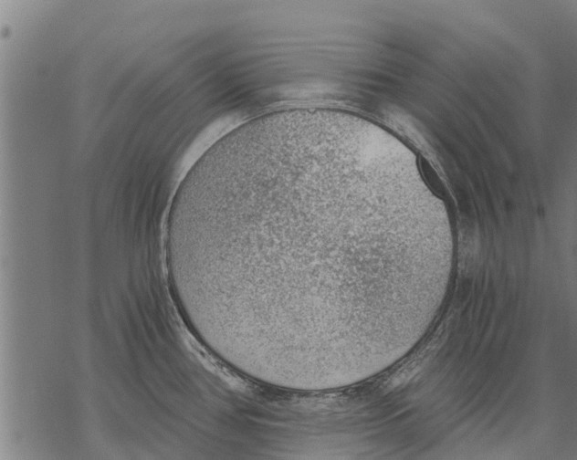 X0000068831386200605261604