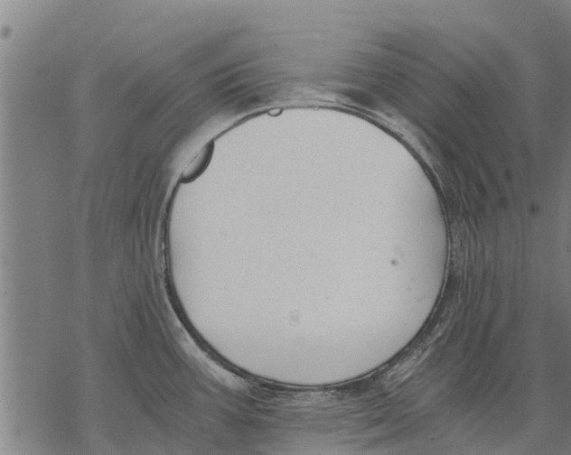 X0000068831387200605261604