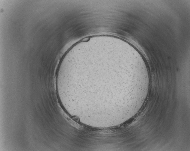 X0000068831388200605261604