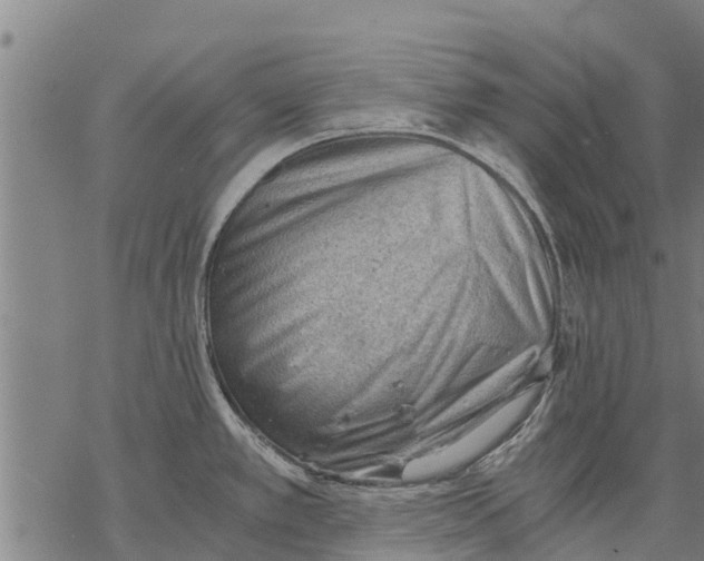 X0000068831389200605261604