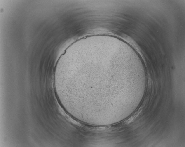 X0000068831390200605261604