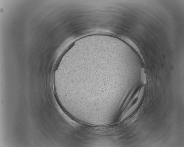 X0000068831391200605261604