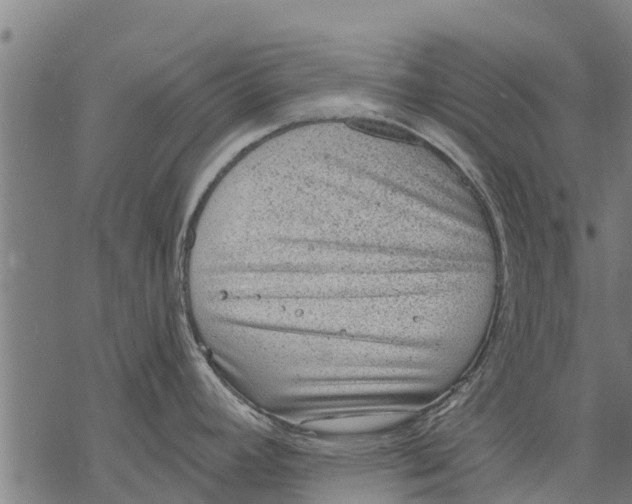 X0000068831392200605261604