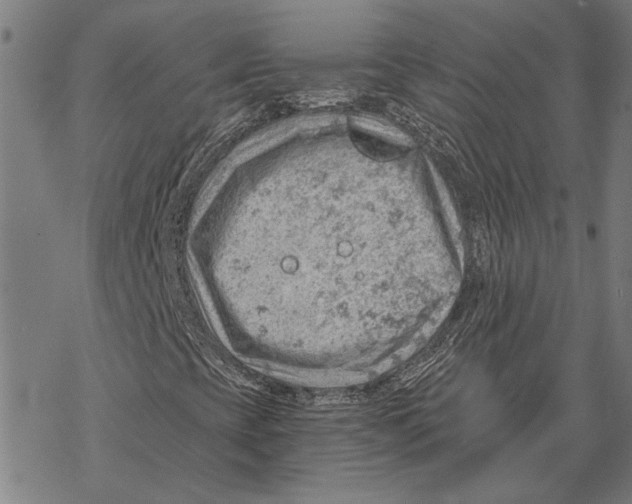 X0000068831393200605261604