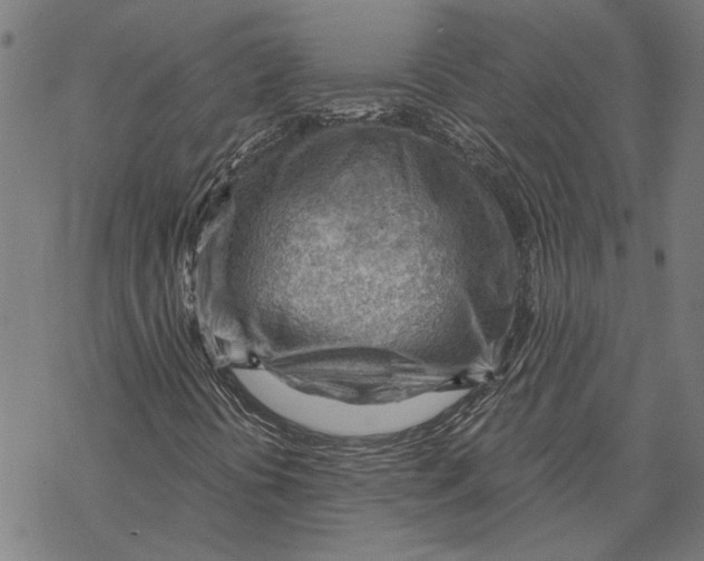 X0000068831394200605261604