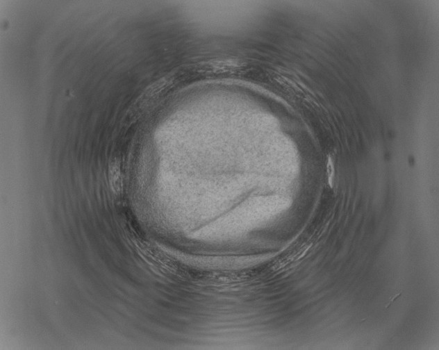 X0000068831395200605261604