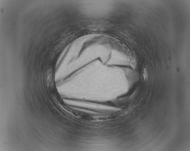 X0000068831396200605261604