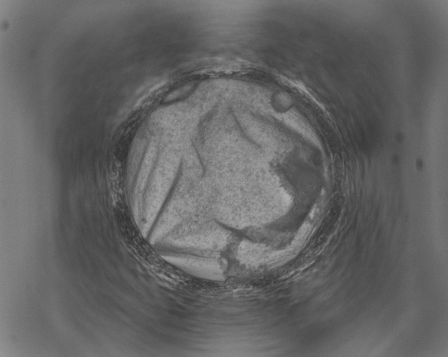 X0000068831399200605261604