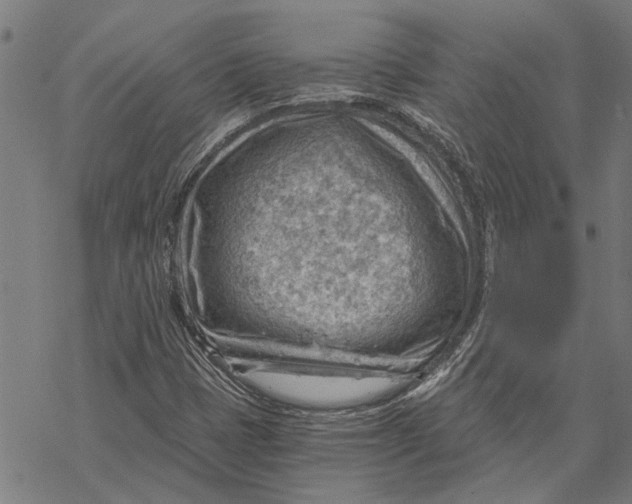 X0000068831401200605261604