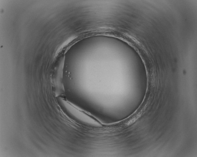 X0000068831402200605261604