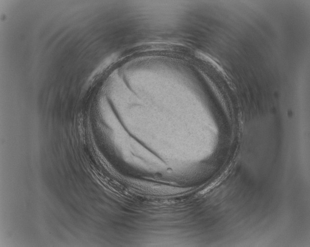 X0000068831403200605261604